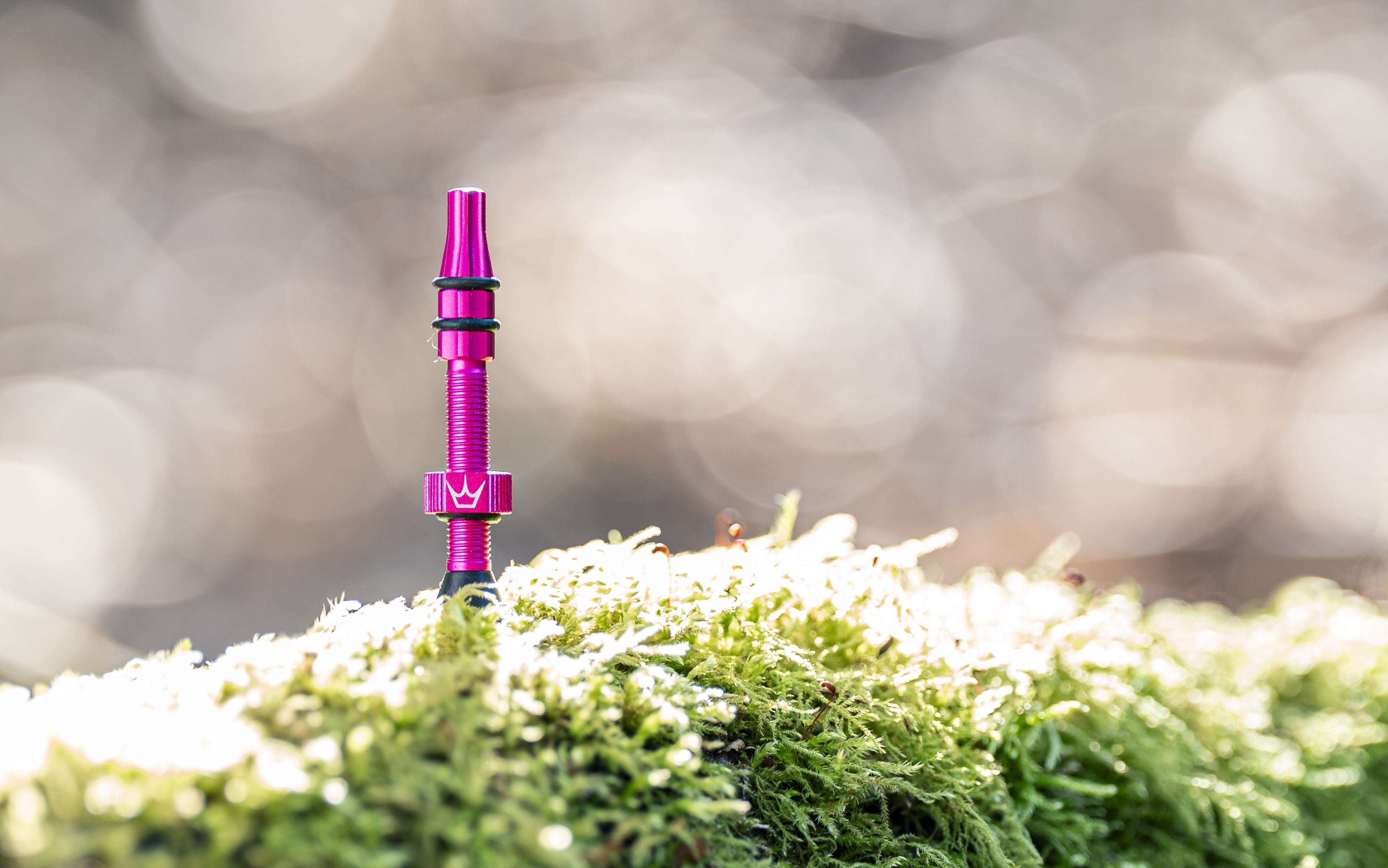 Holeshot Fast Flow Valves