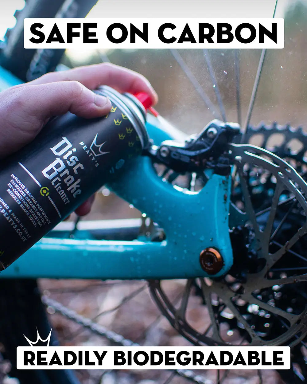 Disc Brake Cleaner Peaty s