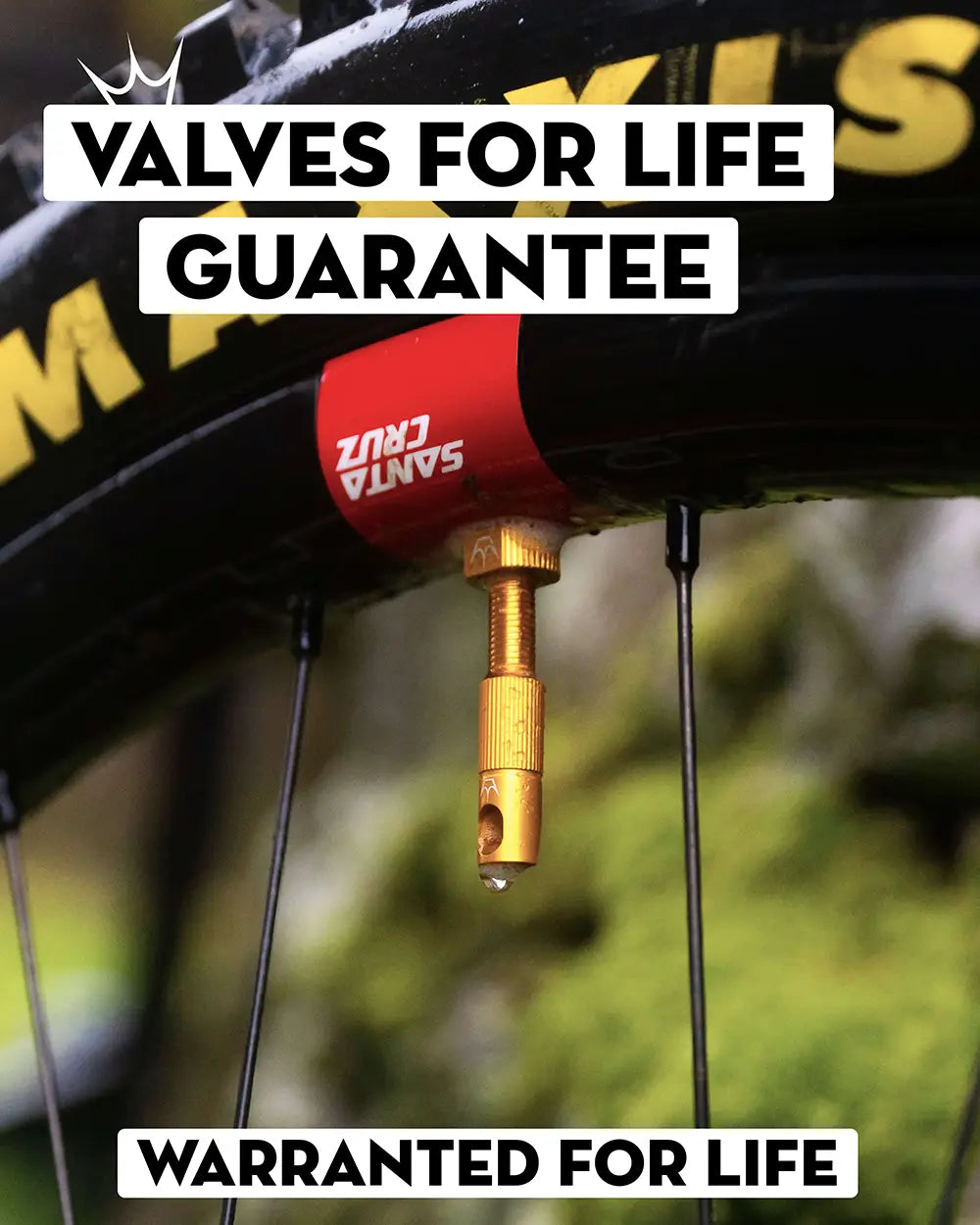 Lifetime guarantee on valves